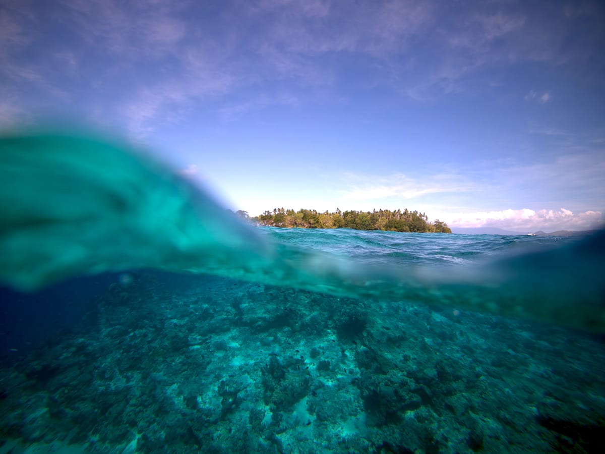 Spearfishing